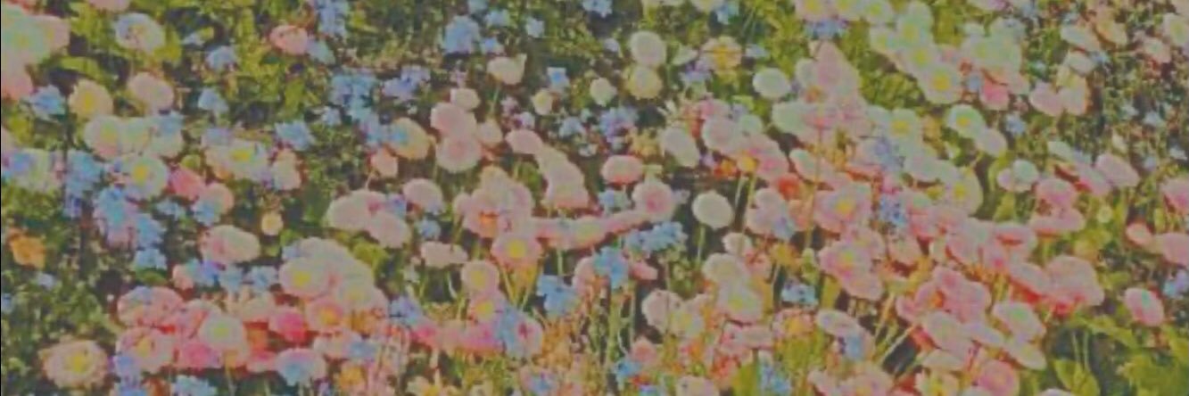 ･᷄-･᷅ —sɴᴏᴏᴘʏ☹︎ banner