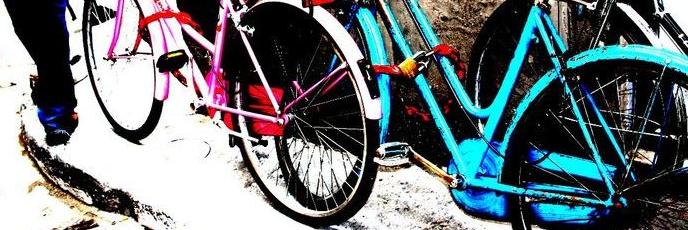 Alba_kutcher's profile banner image