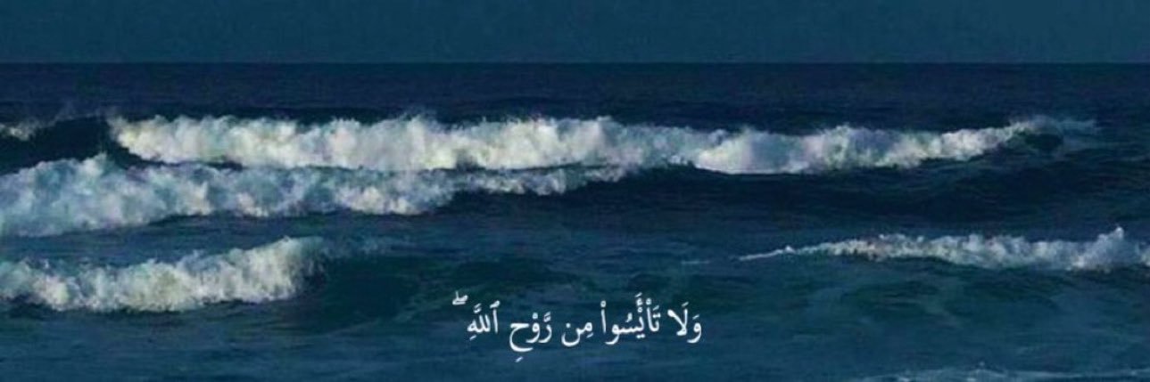 fady banner