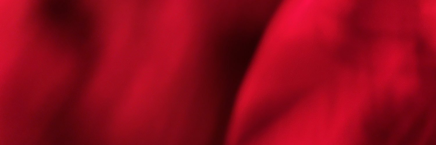 Jamie Little banner