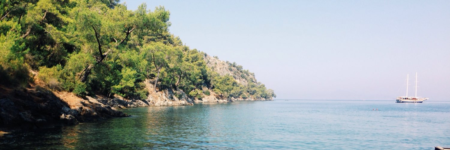 isingizemcelik's profile banner image