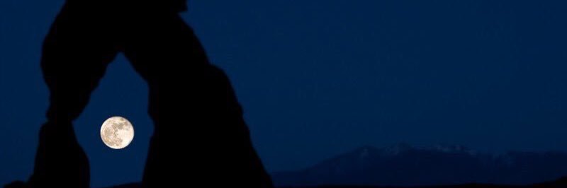 o_dd88's profile banner image