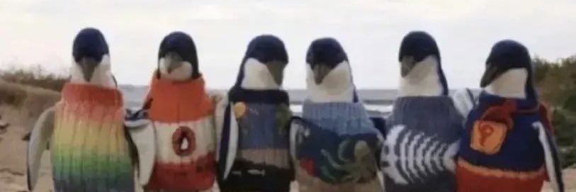 yiinel_'s profile banner image