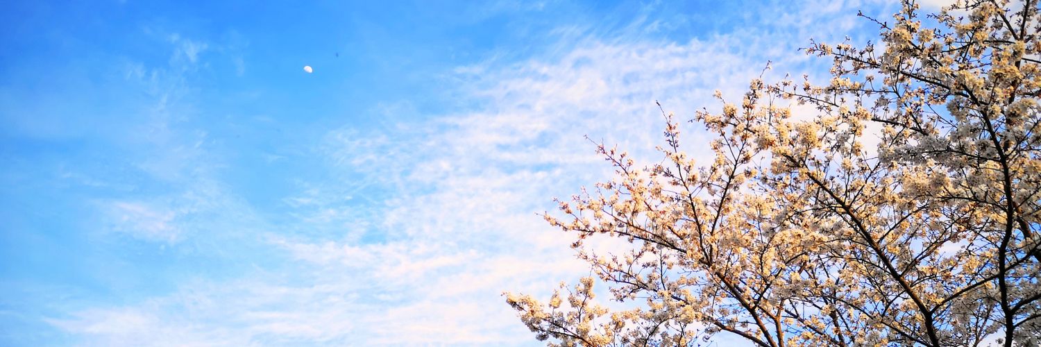 hpoKayoCo's profile banner image