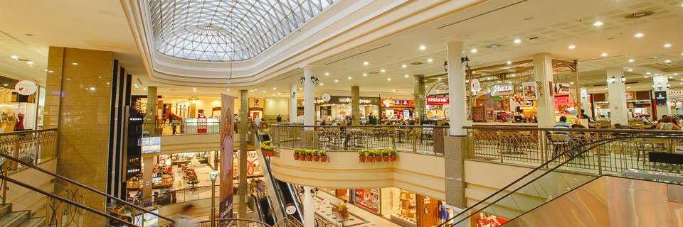 delpaseo's profile banner image