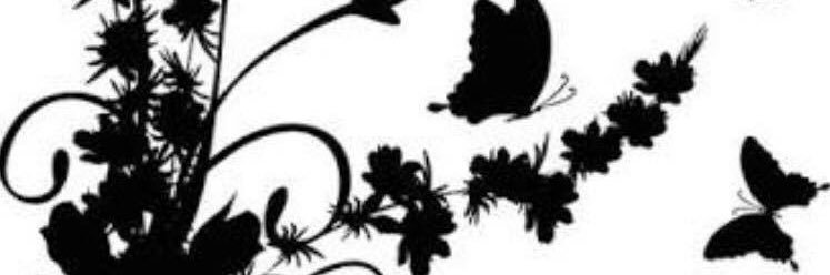 laurawoolfolk's profile banner image