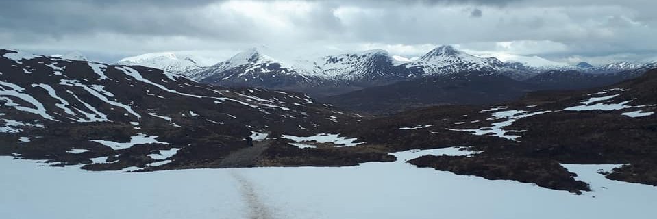 OneDorset's profile banner image