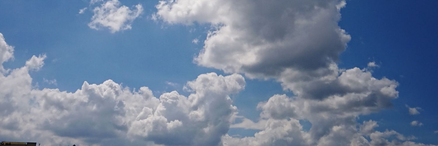 zarpaflu's profile banner image