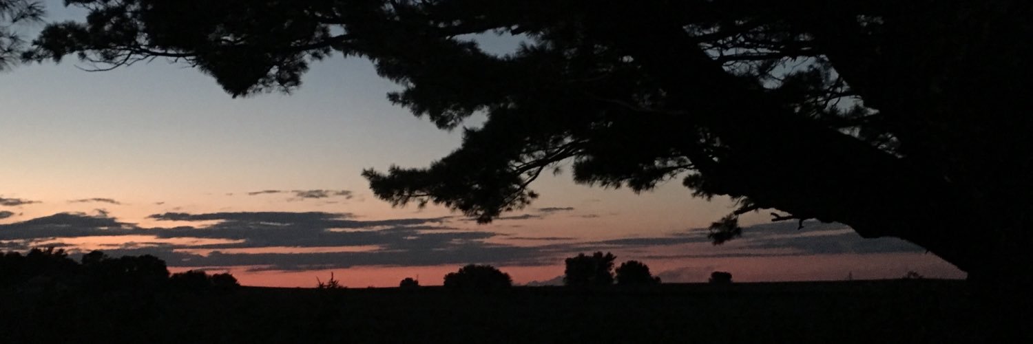 jessijkrull3's profile banner image