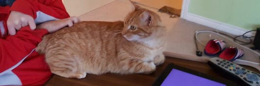 Socialcaresteve's profile banner image