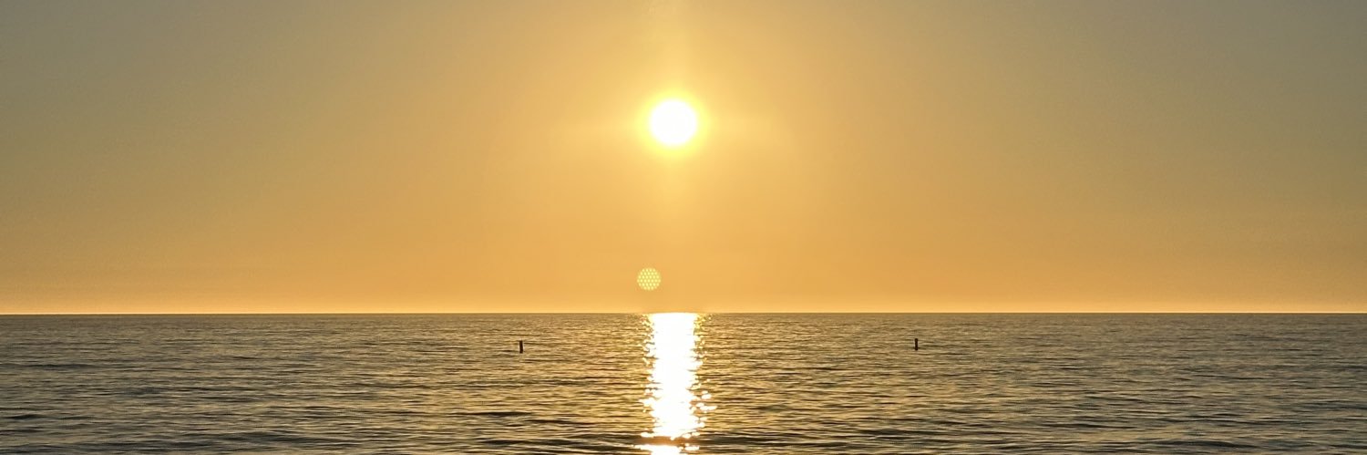 Bruno Barreto banner