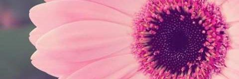 AgenteWatson's profile banner image