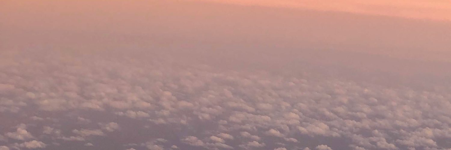 reyeslaura's profile banner image