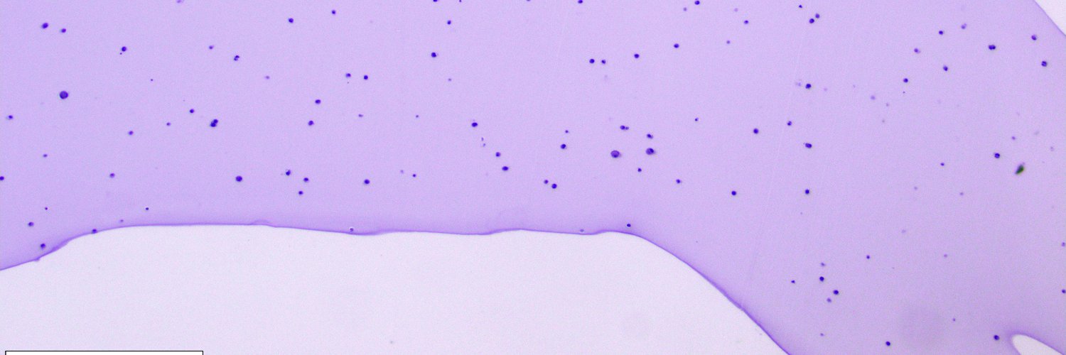 DWagnerLab's profile banner image