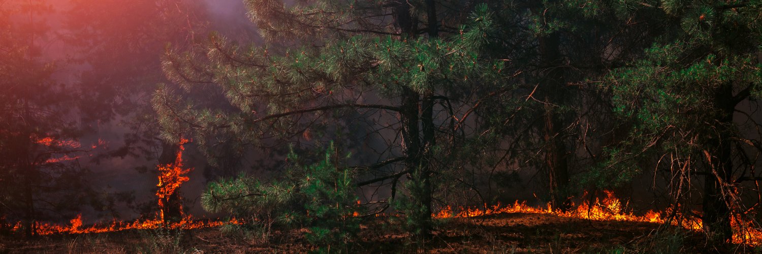 SRfirescience's profile banner image