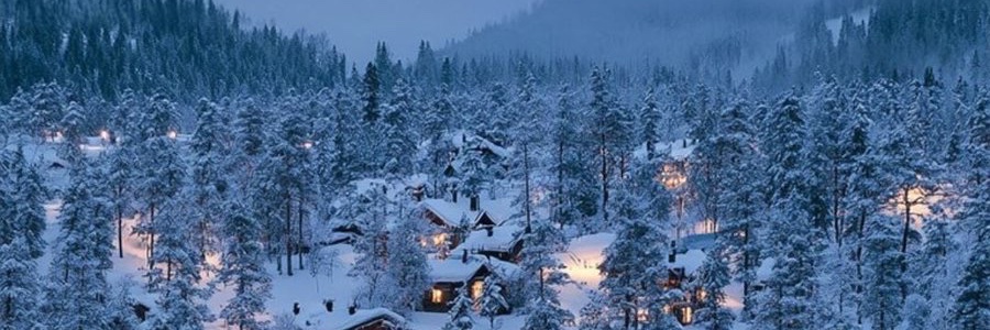 Nicholas Marchi MD 🇨🇦 banner