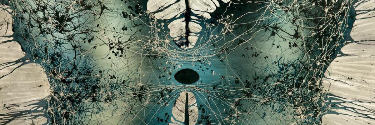 Future surgeon banner