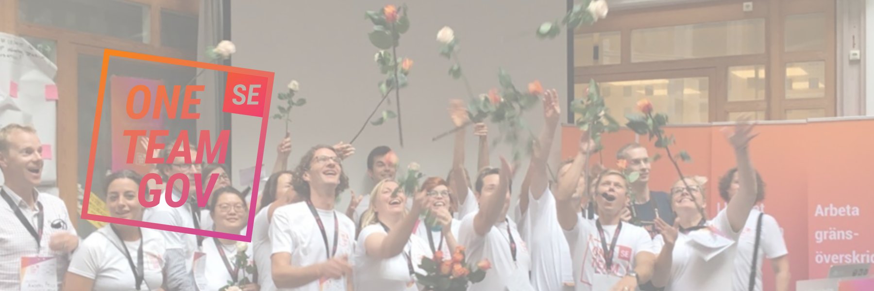 One Team Gov Sverige banner