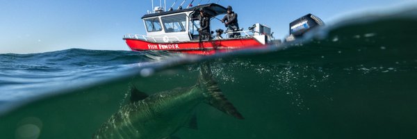 FishQCL Profile Banner