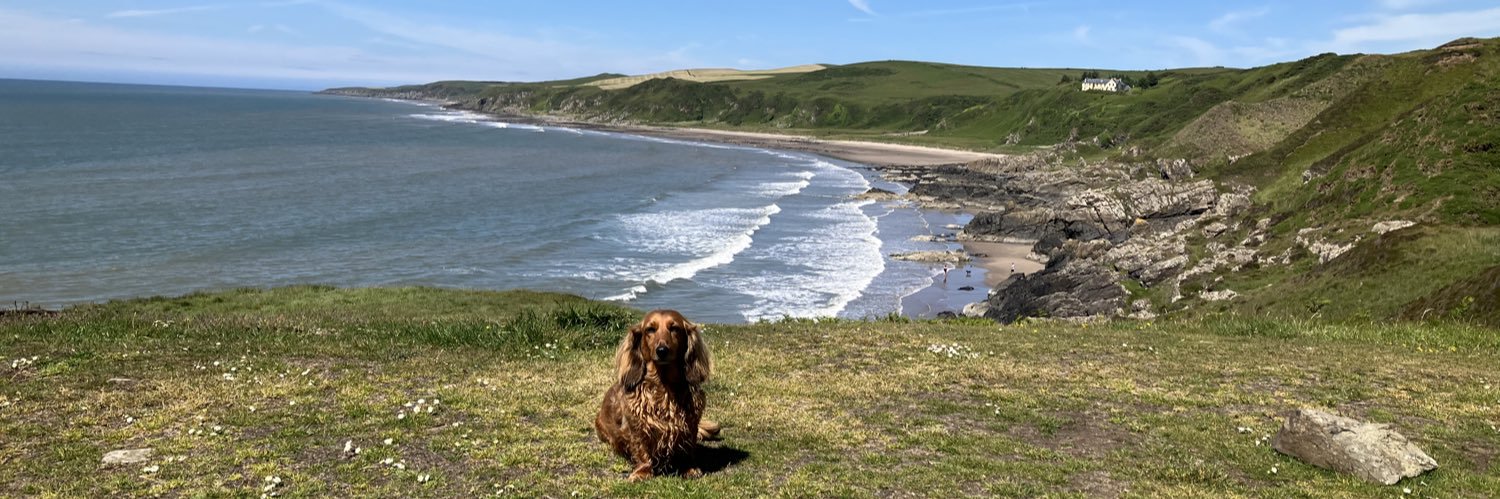 Helen Richardson banner