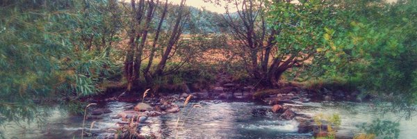 DSeernani Profile Banner