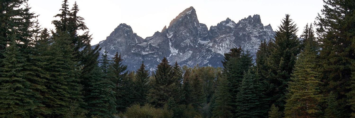 Bryan Delaney banner