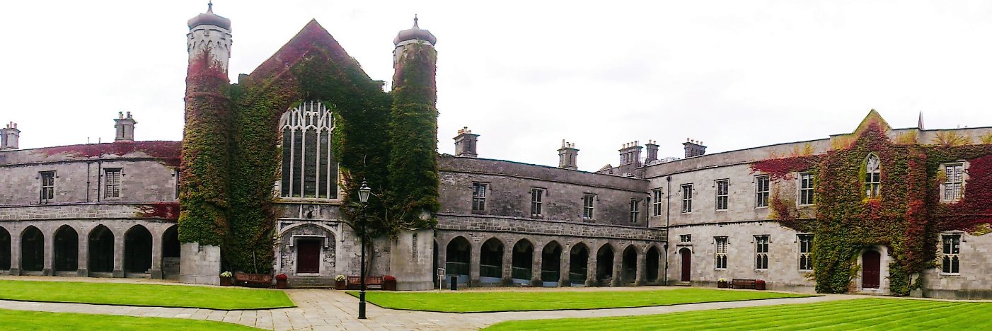 Modernist Studies Ireland banner