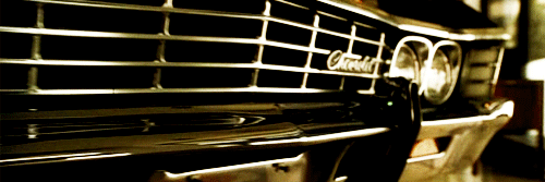 EvaFCavanaugh's profile banner image