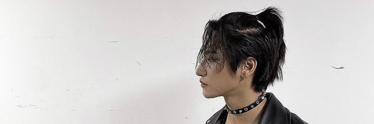 𝒱𝒾𝒸𝓉ℴ𝓇 banner