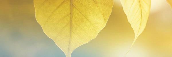 BuyRestoreMe Profile Banner