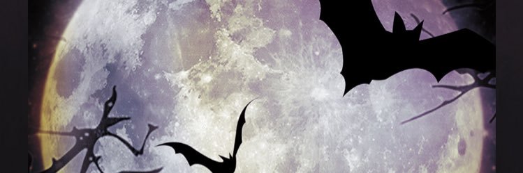 trty_no1's profile banner image
