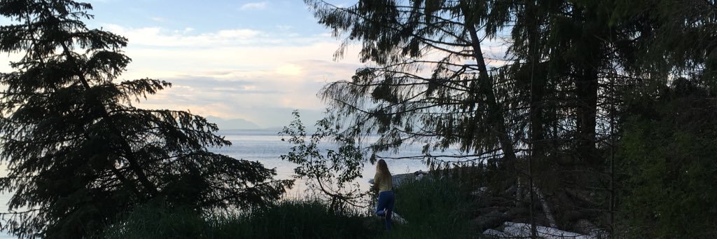 AvalonFast's profile banner image