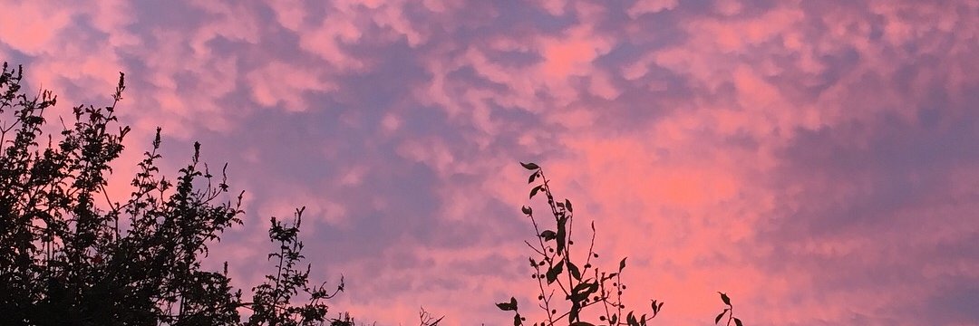 lungsofalark's profile banner image