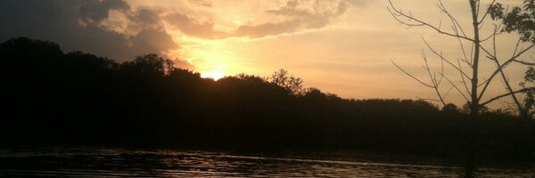 InesRiosMarques Profile Banner