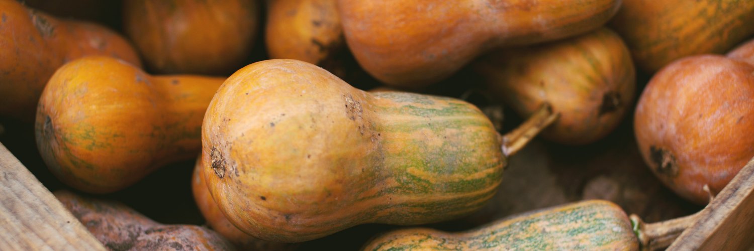 Stone Barns Center banner