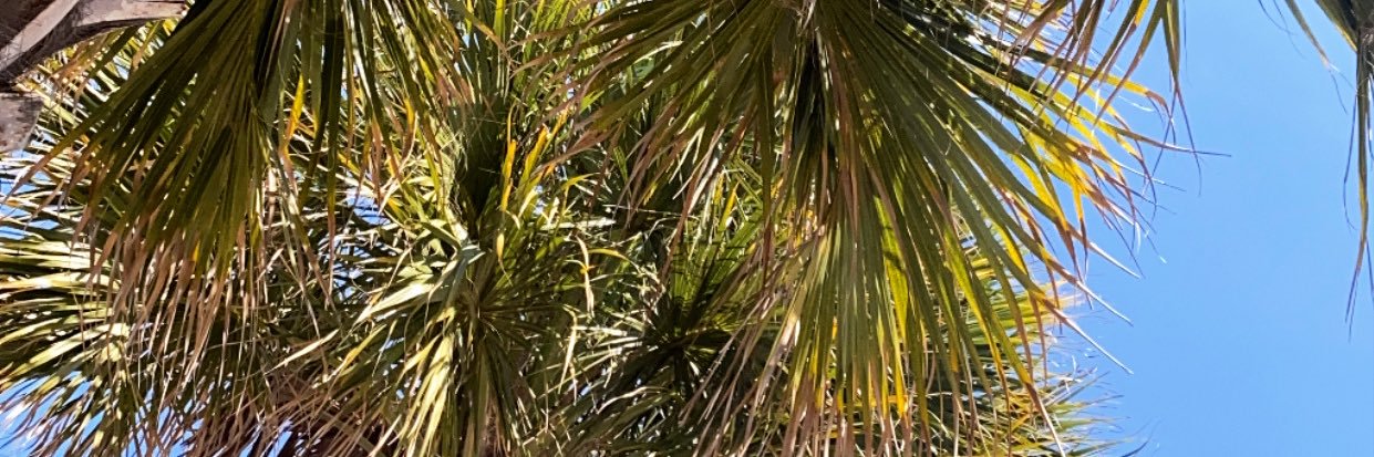 kamowens22's profile banner image