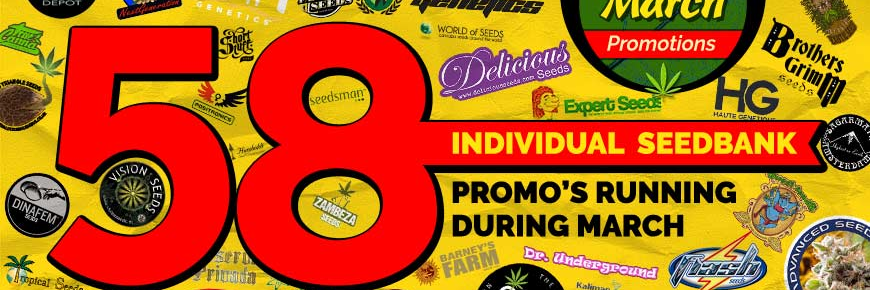 Midweeksong's profile banner image