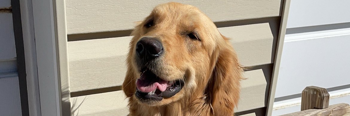 bowen_bailey's profile banner image