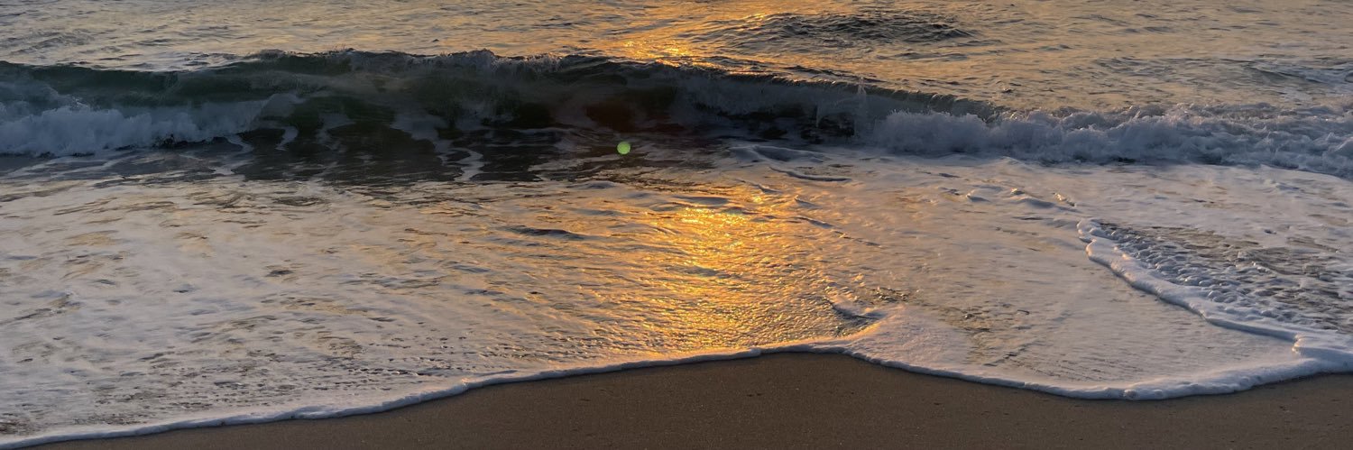 Nicole Sandas, MA, NCC banner