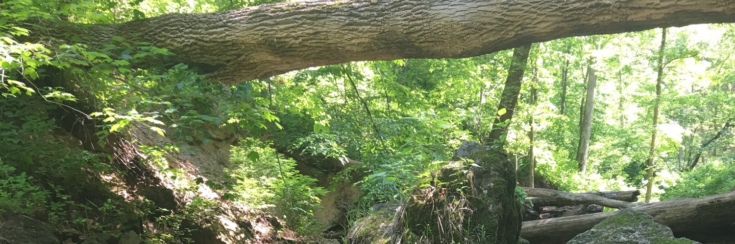 Sam_eichs's profile banner image
