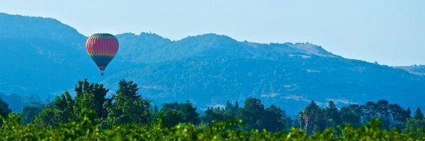 OkapiWines Profile Banner
