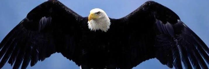 Teking17700's profile banner image