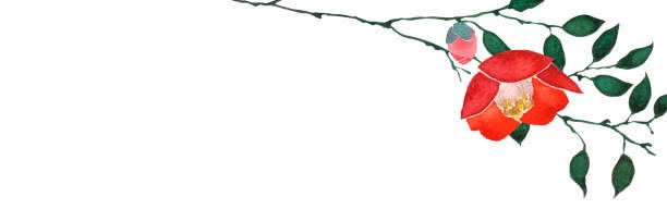 椿鹿 banner