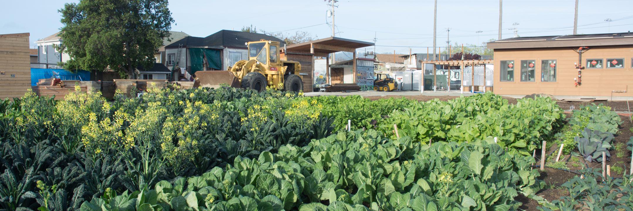 City Slicker Farms banner