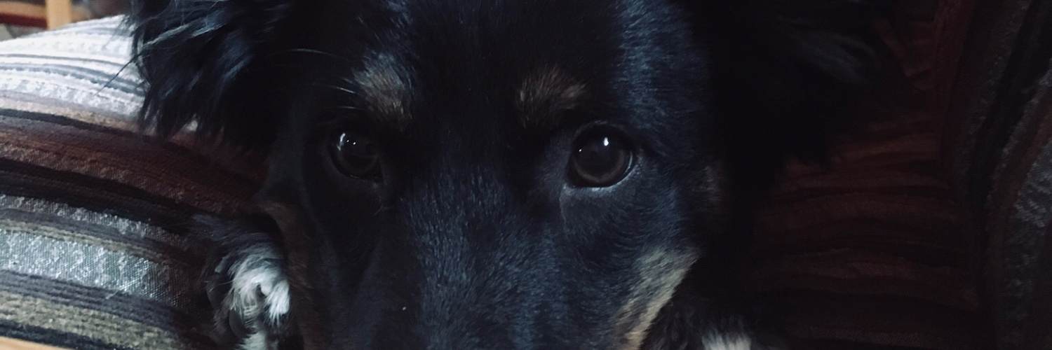 ValeMartinez41's profile banner image