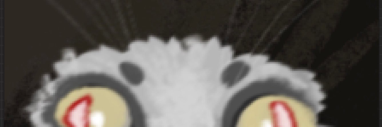 Redd banner