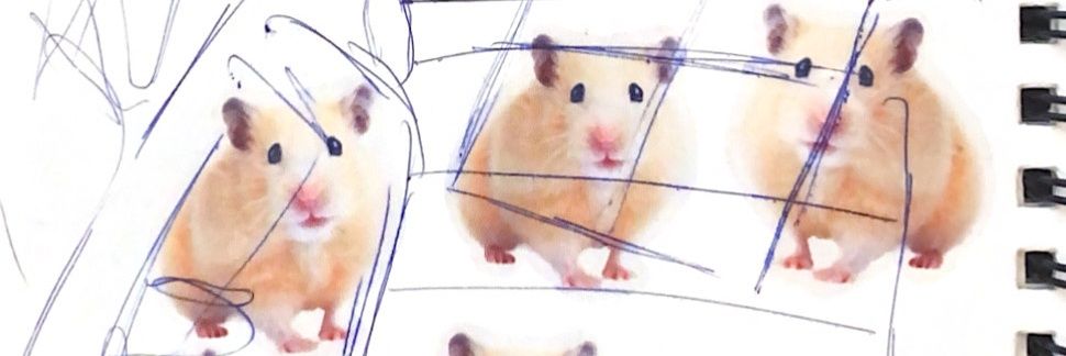 mitzee banner