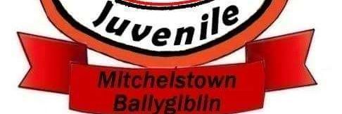 Mitchelstown Ballygiblin Juvenile Club banner