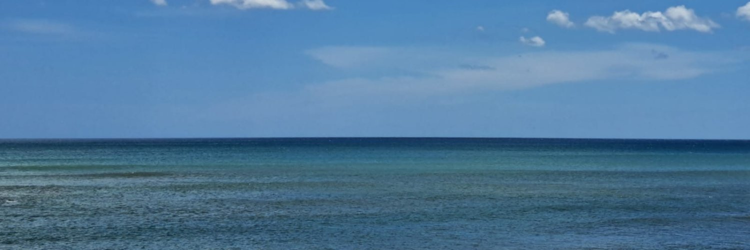 sfmarin1's profile banner image