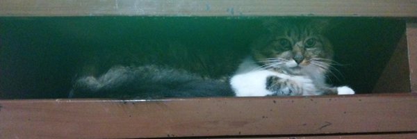 bdmercadeo Profile Banner